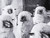 Tony Soluri Original Sheep Silver Print Sheep Closeup 2