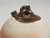 Antique French Pottery Water Jug or Pitcher with Spout  top side view
