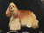 Hand-Painted American Cocker Spaniel Dog Canine on Tin Wall Hanging from Leek, England