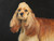 Hand-Painted American Cocker Spaniel Dog Canine on Tin Wall Hanging from Leek, England