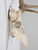 Deer Antler 8-Point Mount from Southern France c1960's