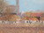 Signed André Bourrié Landscape Oil Painting of Aigues-Mortes Southern France