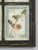 Set of (9) Pressed Italian Botanicals Beautifully Mounted in Old Antique Window Wall Hanging