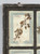 Pressed Botanicals Set of (9) Mounted in Old Window Frame Italian Dated 1913 Wall Hanging