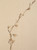 Antique Pressed Botanicals from France, Set of 9 - Unique Decor