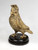 Bronze Cockatoo