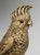 Fire Gilded Bronze Cockatoo with Glass Eyes French c. 1900's