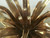 Attributed to Christian Techqueyres for Masion Jansen Doré Bronze Coffee Table Base Closeup Attributed to Christian Techqueyres for Masion Jansen Doré Bronze Coffee Table Base Closeup