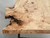 French Burl Elm Slab Dining Table, or Desk Edge Detail