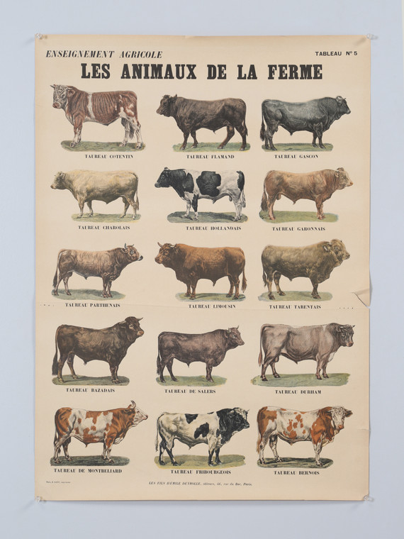 Old French Poster of Farm Animals