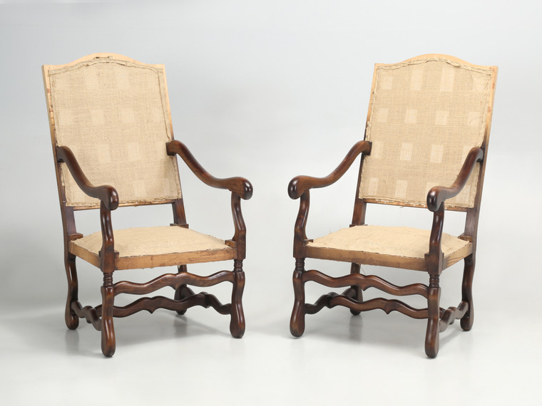 Pair Classic French Os De Mouton Dining Arm Chairs with Restored Frames and Coil Springs