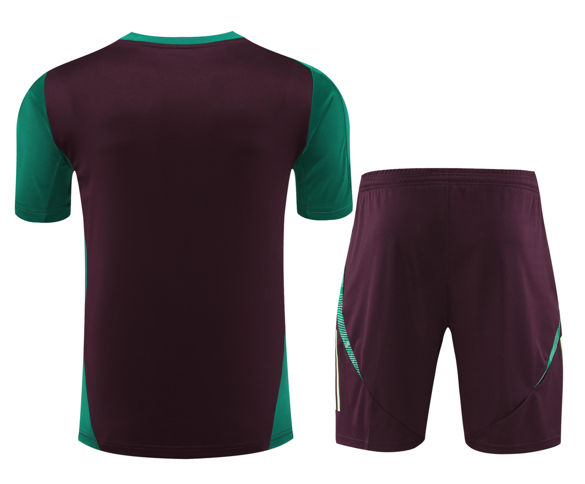Mexico 2024 Men's Bordeaux Training Shirt