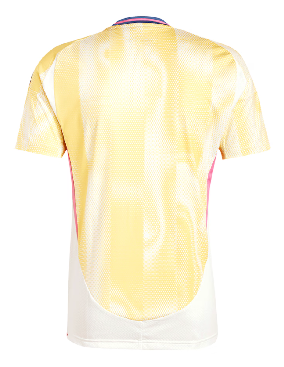 Juventus 24/25 Stadium Men's Away Shirt