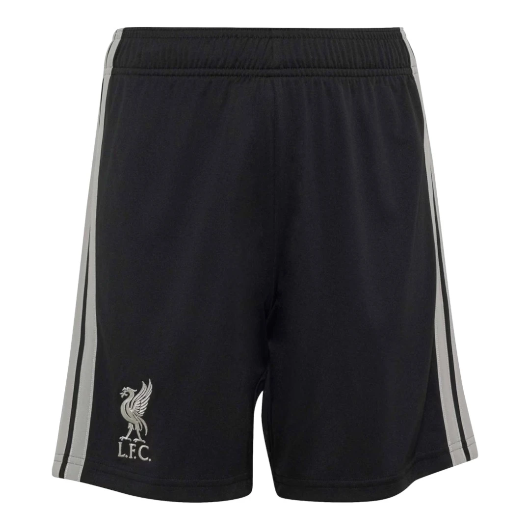 Liverpool 26/27 Men's Third Long Sleeve Shirt