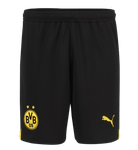 Borussia Dortmund 23/24 Authentic Men's Home Shirt