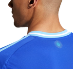 Argentina 2024 Stadium Men's Away Shirt