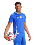 Argentina 2024 Authentic Men's Away Shirt