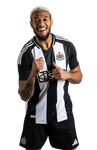 Newcastle United 24/25 Authentic Men's Home Shirt