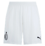 AC Milan 24/25 Authentic Men's Away Shirt