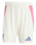Juventus 24/25 Authentic Men's Away Shirt