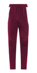 Bayern Munich 24/25 Men's Bordeaux Jacket