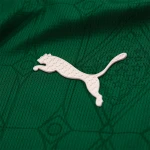 Palmeiras 25/26 Authentic Men's Home Shirt
