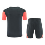 Bayern Munich 25/26 Men's Gray Training Shirt