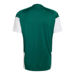 Italy 2026 Men's Green Training Shirt