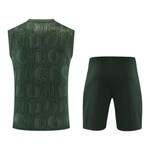 Chelsea 25/26 Men's Green Pre-Match Tank Top