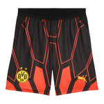 Borussia Dortmund 26/27 Kid's Red Goalkeeper Set