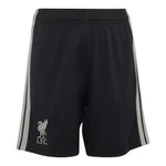 Liverpool 26/27 Men's Third Long Sleeve Shirt