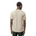 Celtic 26/27 Authentic Men's Third Shirt