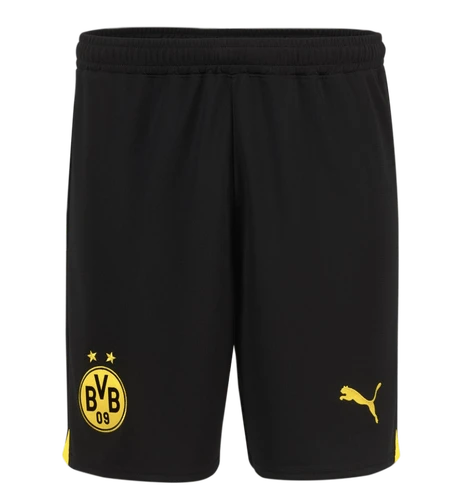 Borussia Dortmund 23/24 Authentic Men's Home Shirt