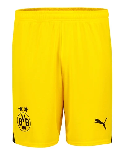 Borussia Dortmund 23/24 Stadium Men's Away Shirt