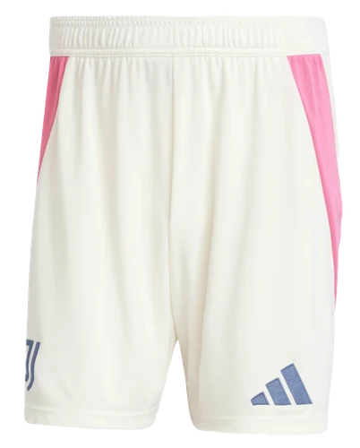 Juventus 24/25 Authentic Men's Away Shirt