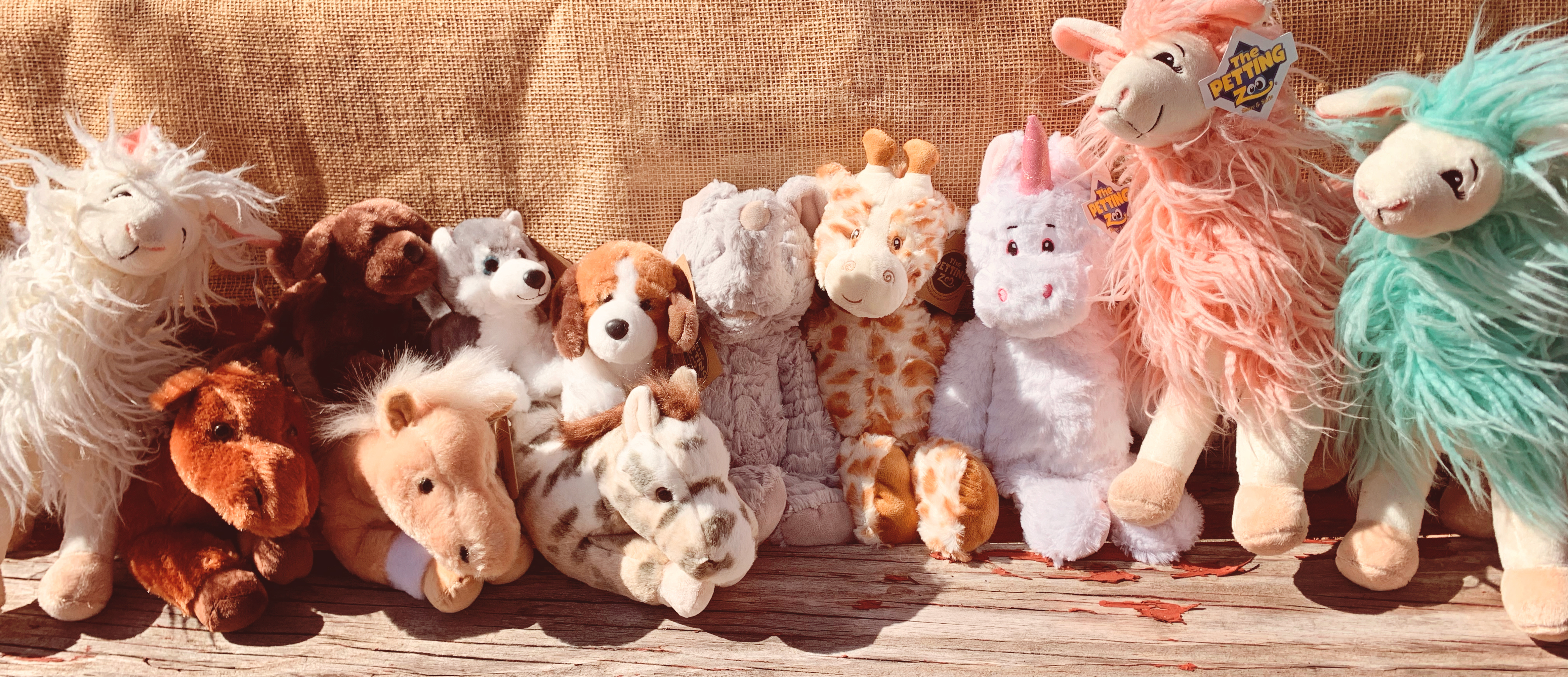 stuffed-animals.jpg