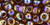TOHO Round 3/0 Seed Bead Transparent-Rainbow Smoky Topaz, 2.5-Inch Tube
