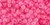 TOHO Round 6/0 Seed Bead Inside-Color Light Topaz/Neon Pink-Lined, 2.5-Inch Tube