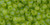 TOHO Round 6/0 Seed Bead Transparent-Rainbow Frosted Lime Green, 2.5-Inch Tube