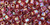 TOHO Hex 8/0 Hex Seed Bead Transparent-Rainbow Ruby, 2.5-Inch Tube