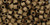 TOHO Hex 8/0 Hex Seed Bead Matte-Color Dark Copper, 2.5-Inch Tube
