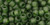 TOHO Round 6/0 Seed Bead Transparent-Frosted Olivine, 2.5-Inch Tube