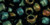 TOHO Round 3/0 Seed Bead Metallic Iris - Green/Brown, 2.5-Inch Tube