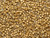 Miyuki Delica 11/0 Tube 2.5" : Duracoat Galvanized Matte Gold