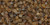 TOHO Cube 1.5mm Seed Bead HYBRID Frosted Natural Picasso, 2.5-Inch Tube