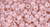 TOHO Round 8/0 Seed Bead ColorTrends Milky - Pale Dogwood, 2.5-Inch Tube