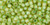 TOHO Round 8/0 Seed Bead Inside-Color Jonquil/Mint Julep-Lined, 2.5-Inch Tube