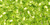 TOHO Triangle 11/0 Triangle Seed Bead Silver-Lined Lime Green, 2.5-Inch Tube