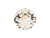 PRESTIGE 1088 SS29 Chaton Light Silk (6.1mm)
