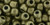TOHO Round 3/0 Seed Bead Bronze Antique Gold, 2.5-Inch Tube